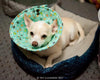 How to Make a Soft Elizabethan (Cone of Shame) Collar for your Dog or Cat (Tutorial)