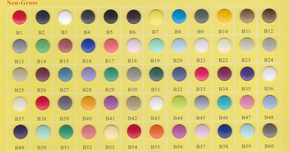 Color Sampler Kit Color Sampler Charts - KAMsnaps®