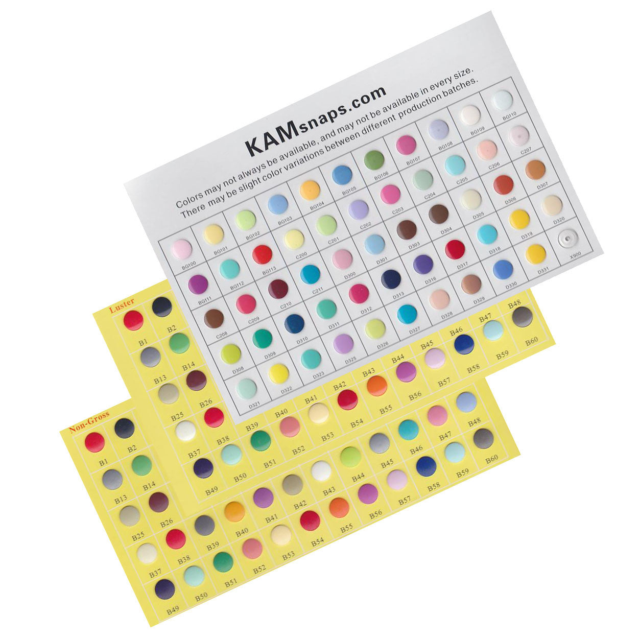 Custom Color Sampler Chart (BG-X Glossy)